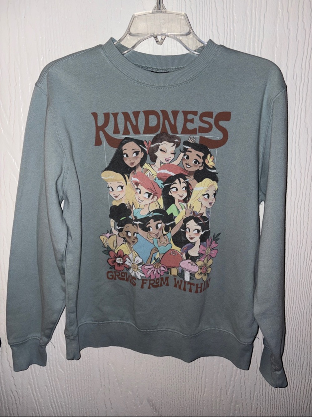 Disney Princess "Kindness Grows From Within" Adult Med Sweatshirt